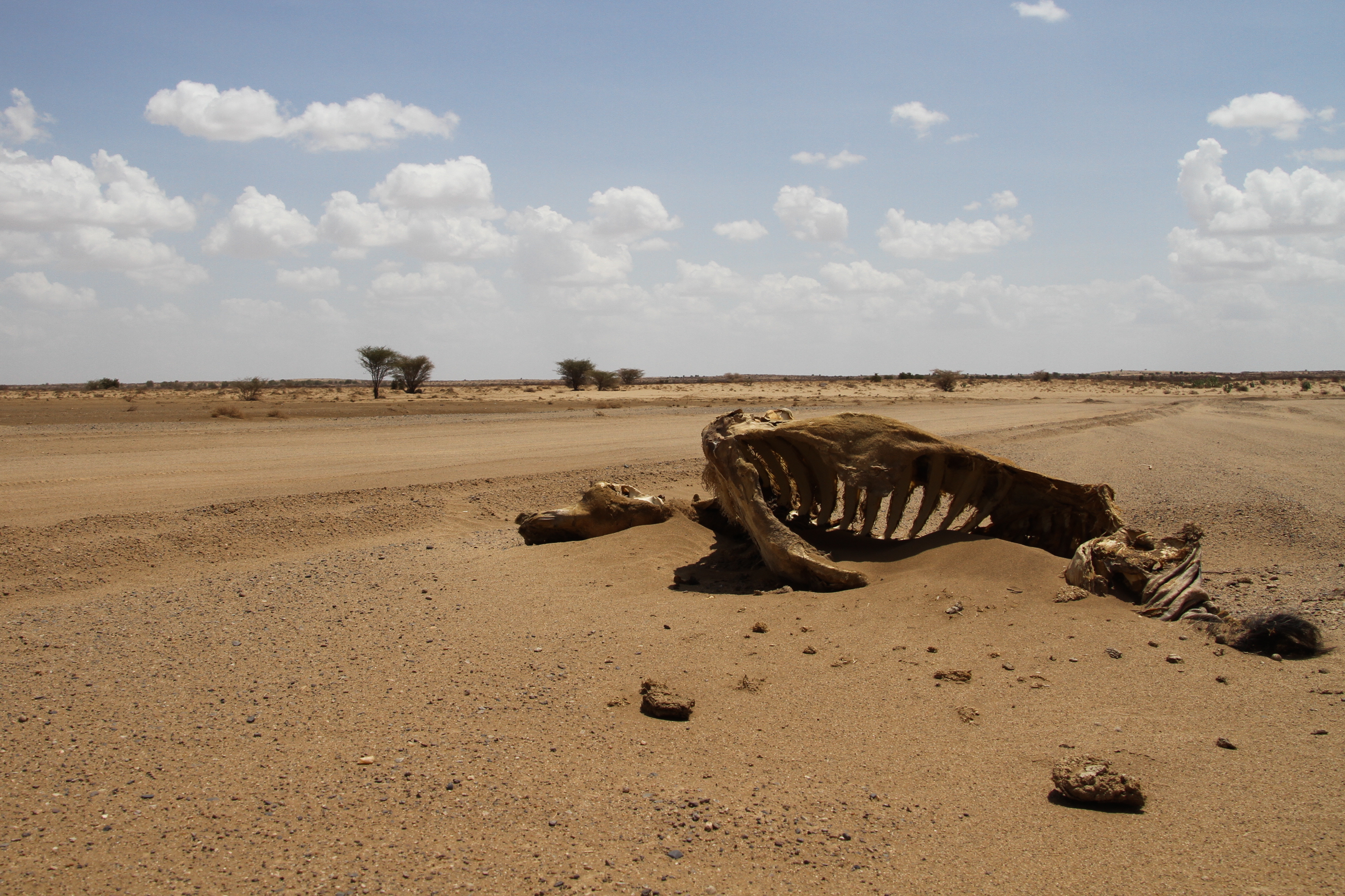 Aid worker security continues to deteriorate